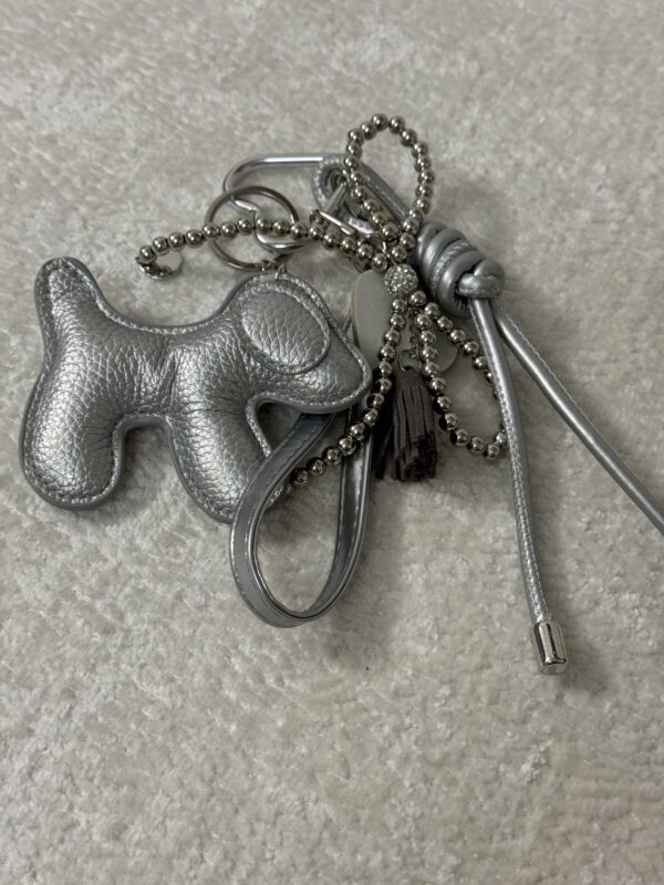 چارم بگ هاپو‌